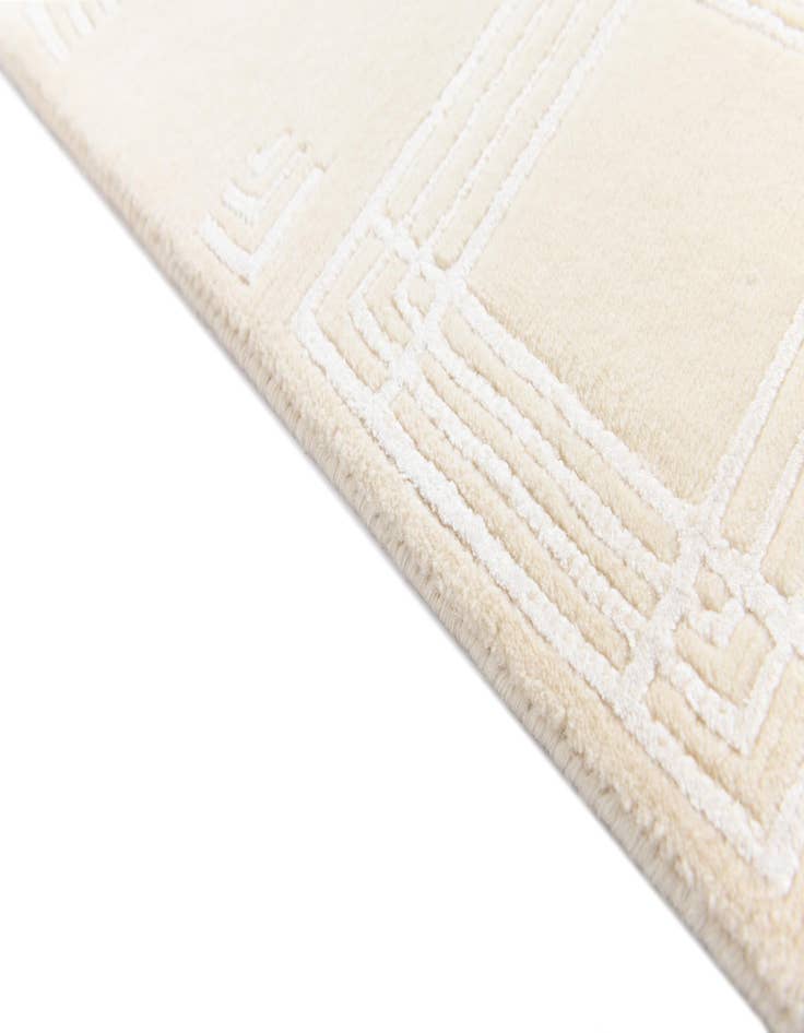 Detail image of 2' 8 x 9' 9  Hand Knotted Darya Wool Runner Rug