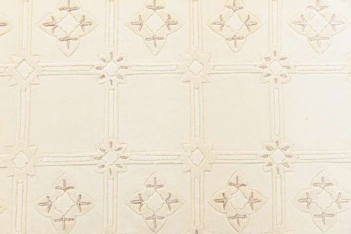 2' 11 x 9' 9 Hand Knotted Darya Wool Runner Rug