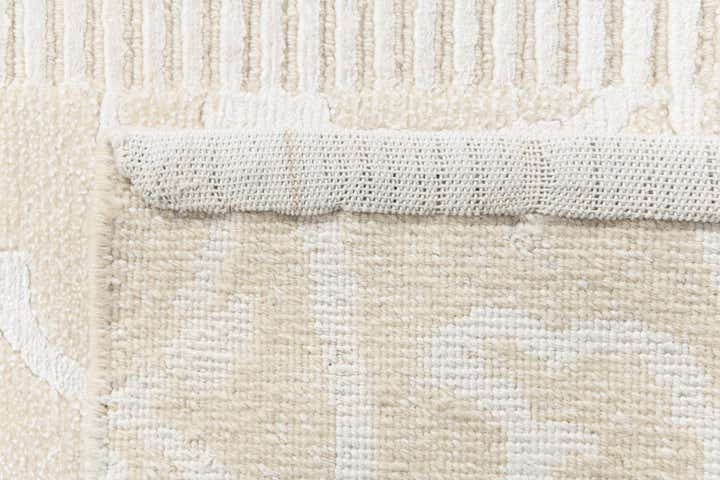 2' 9 x 10' 2 Hand Knotted Darya Wool Runner Rug