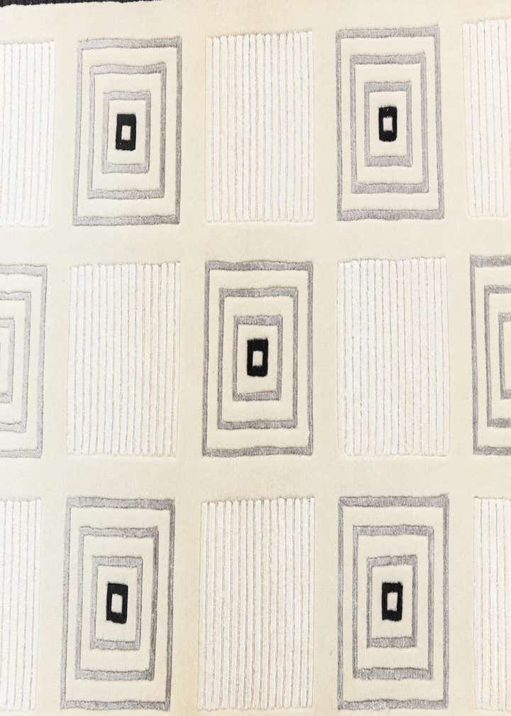 2' 7 x 9' 9 Hand Knotted Darya Wool Runner Rug