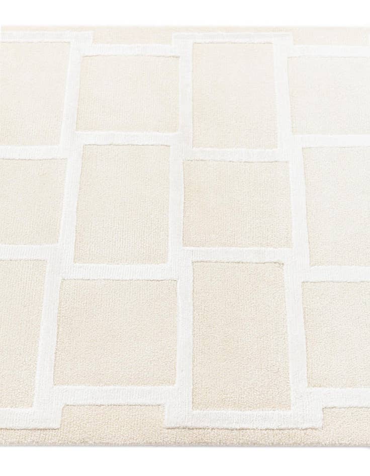 Detail image of 2' 10 x 9' 10  Hand Knotted Darya Wool Runner Rug