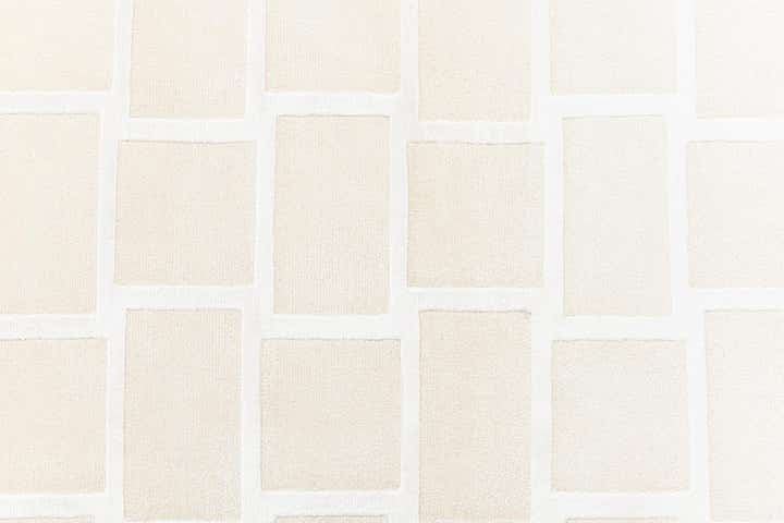 2' 10 x 9' 10 Hand Knotted Darya Wool Runner Rug