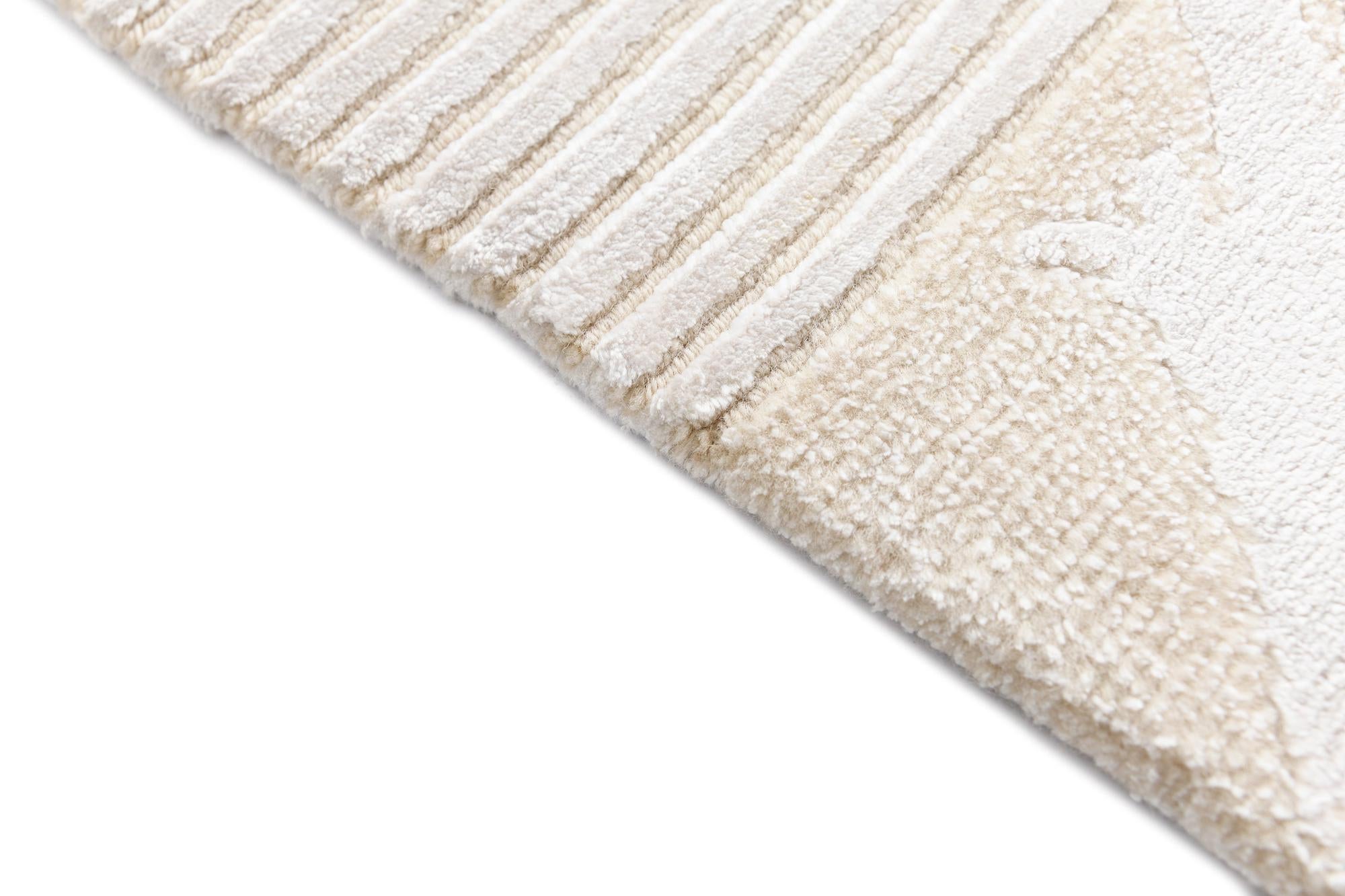2' 8 x 9' 11 Darya Runner Rug