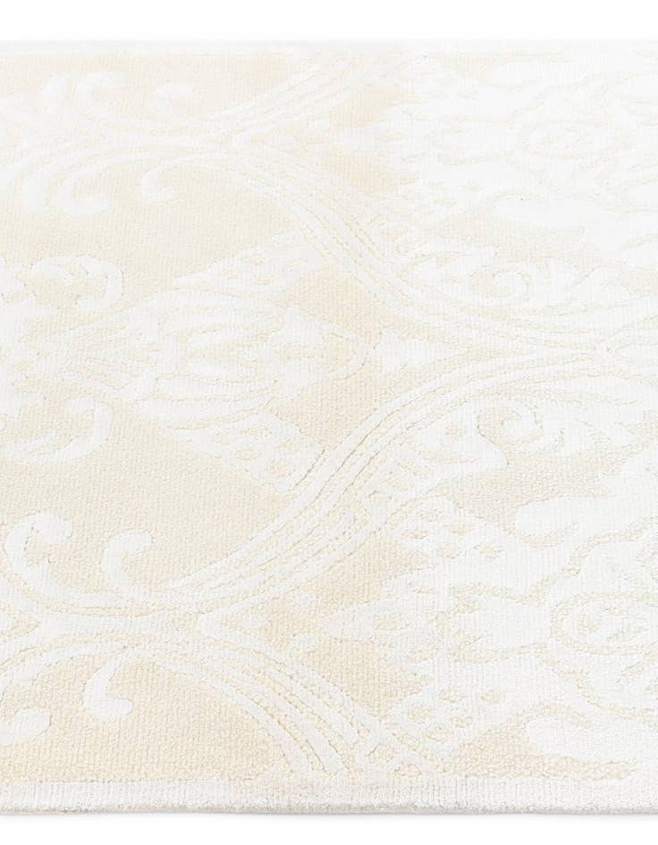 Detail image of 2' 10 x 9' 10 Darya Runner Rug