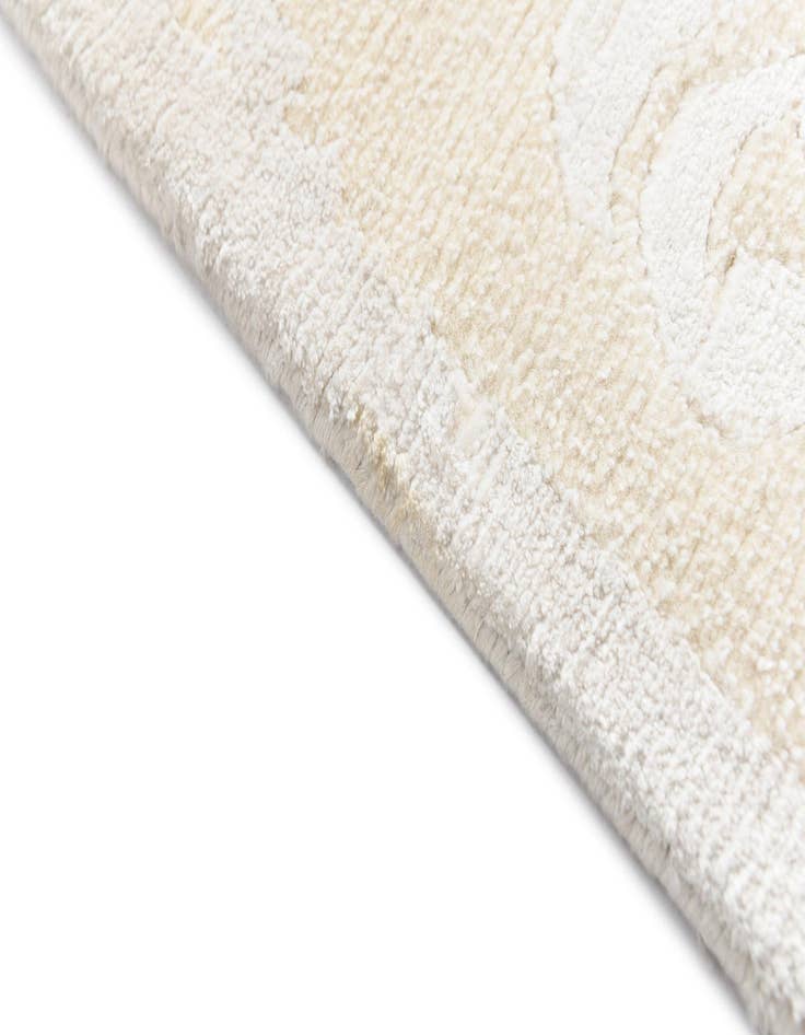 Detail image of 2' 10 x 9' 10 Darya Runner Rug