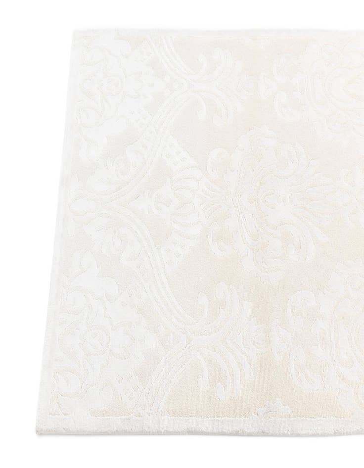 Detail image of 2' 10 x 9' 11 Darya Runner Rug