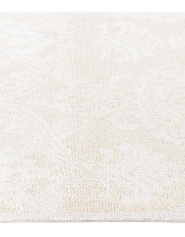 Detail image of 2' 10 x 9' 11 Darya Runner Rug