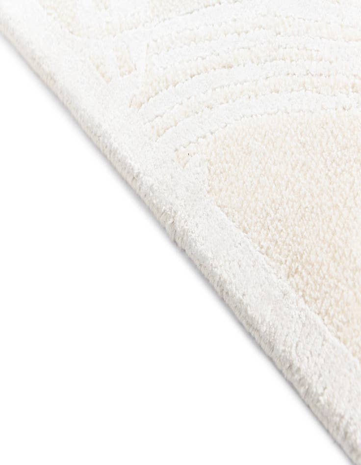 Detail image of 2' 10 x 9' 11 Darya Runner Rug