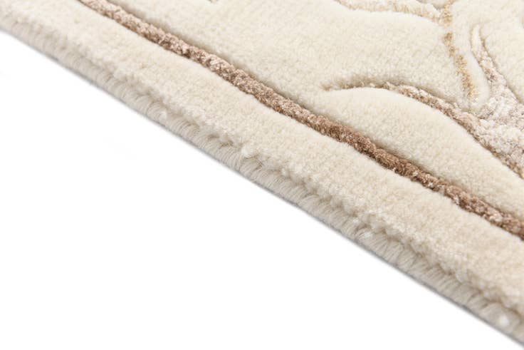 Detail image of 2' 7 x 10' Darya Runner Rug