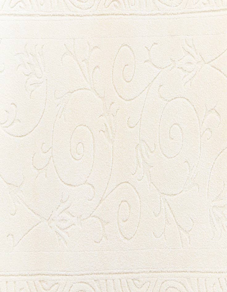 Detail image of 2' 6 x 9' 5 Darya Runner Rug