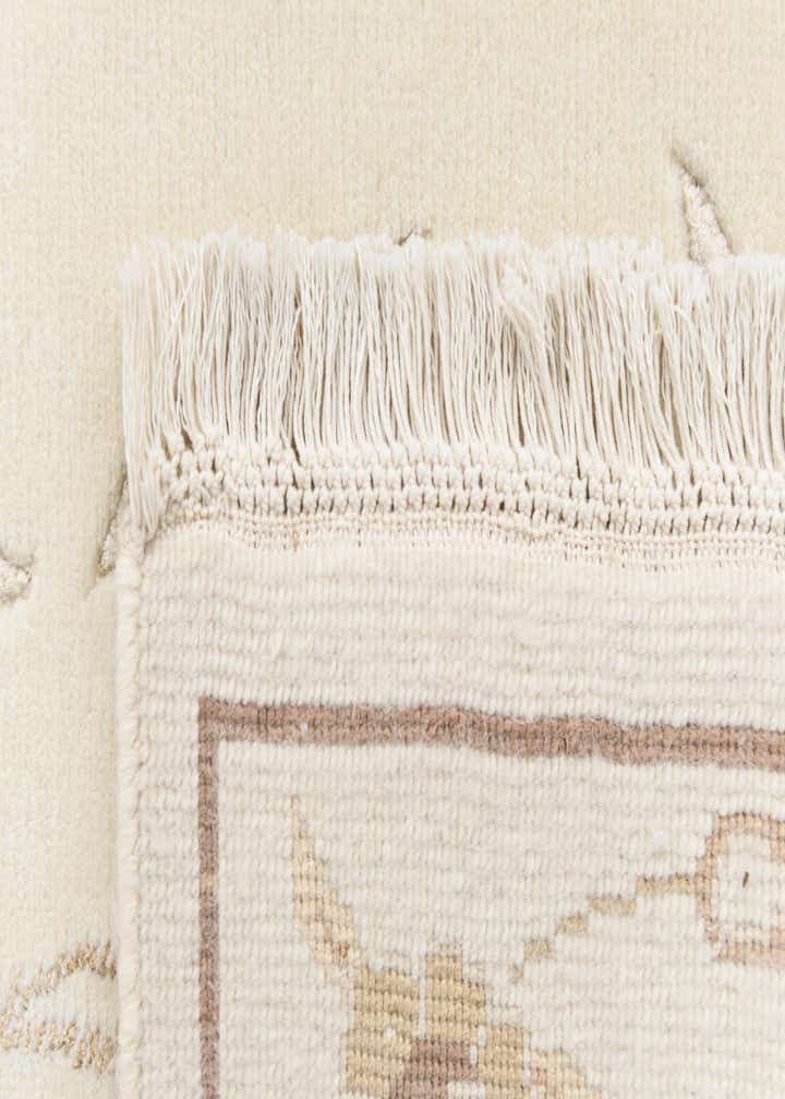2' 6 x 9' 11 Darya Runner Rug