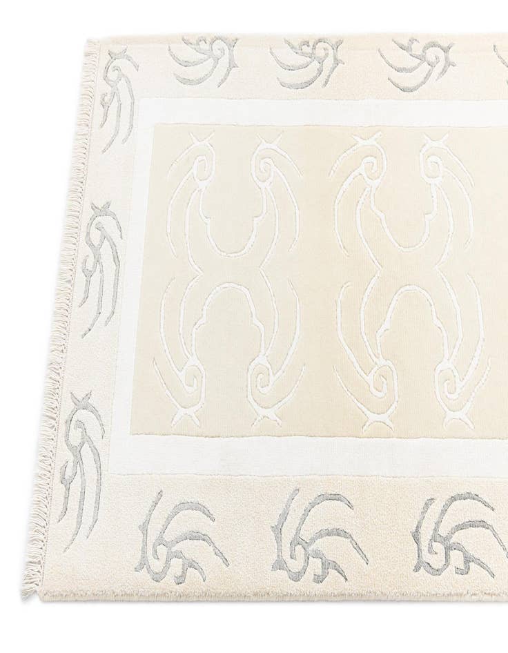 Detail image of 2' 7 x 9' 9 Darya Runner Rug