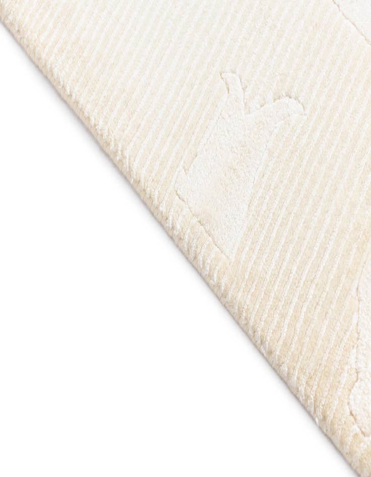 Detail image of 2' 9 x 10' Darya Runner Rug