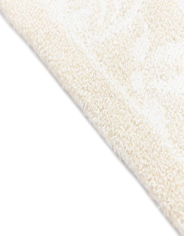 Detail image of 2' 9 x 9' 9 Darya Runner Rug