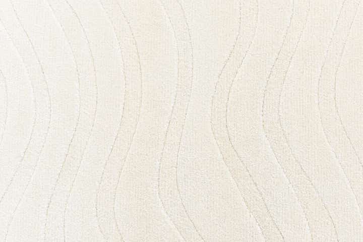 2' 9 x 9' 8 Darya Runner Rug