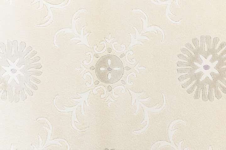 2' 7 x 9' 8 Darya Runner Rug