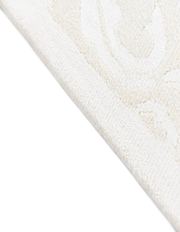 Detail image of 2' 10 x 9' 11 Darya Runner Rug