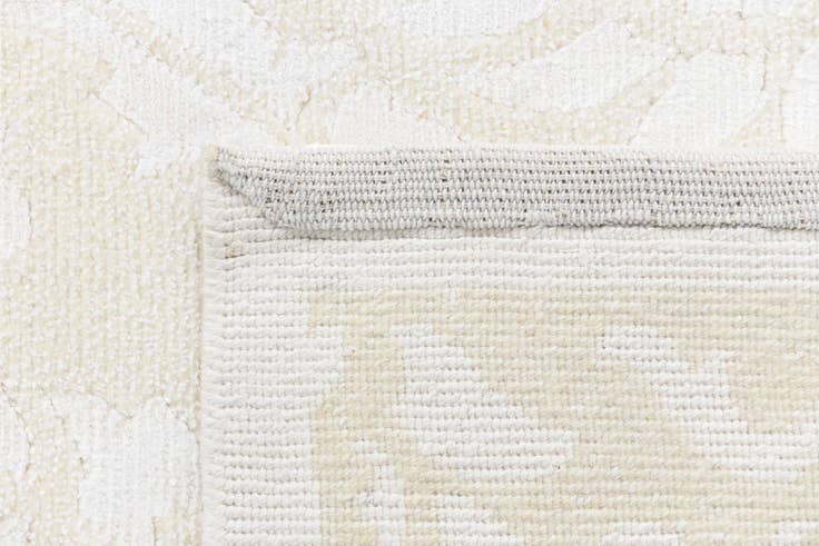 Detail image of 2' 10 x 9' 11 Darya Runner Rug