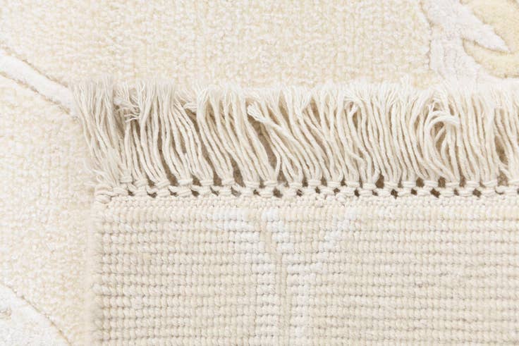 Detail image of 2' 11 x 9' 8 Darya Runner Rug