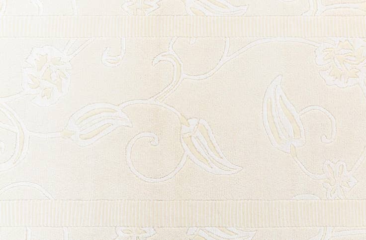 Detail image of 2' 11 x 9' 8 Darya Runner Rug