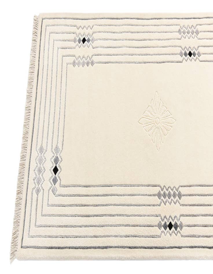 Detail image of 2' 8 x 12' 10 Darya Runner Rug