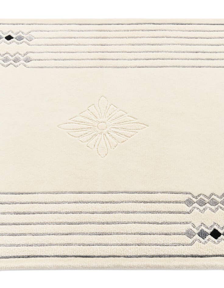 Detail image of 2' 8 x 12' 10 Darya Runner Rug