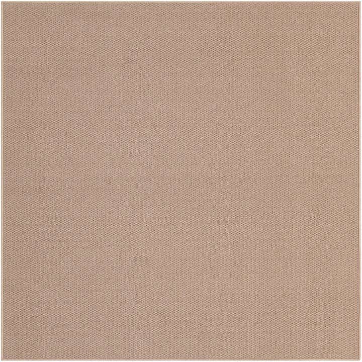 5' 3 x 5' 3 Aragon Square Rug