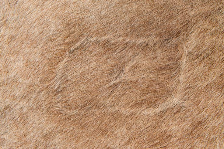 Detail image of 7' x 7' 1 Cowhide Leather Square Rug