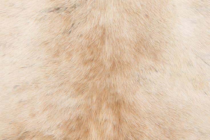 Detail image of 5' 10 x 6' 5 Cowhide Leather Square Rug