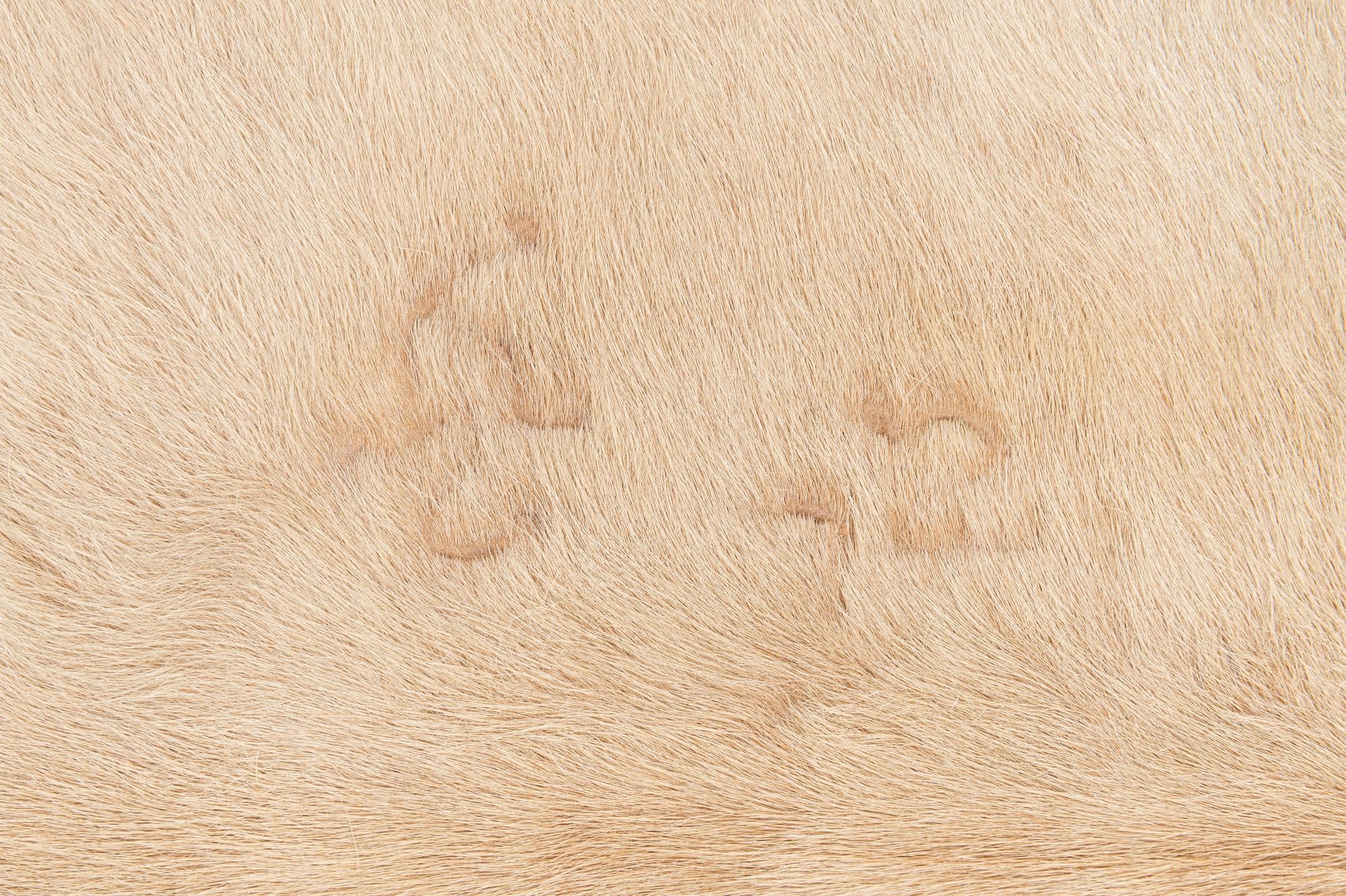 6' 2 x 6' 8 Cowhide Leather Square Rug