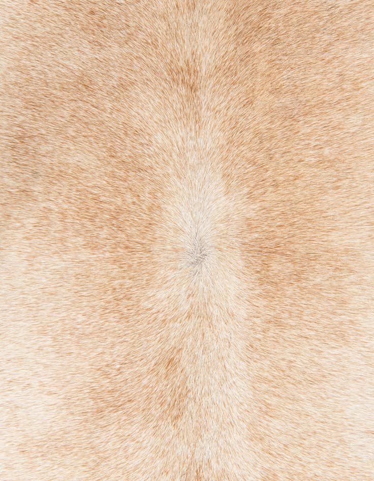 Detail image of 5' 11 x 6' 5 Cowhide Leather Square Rug