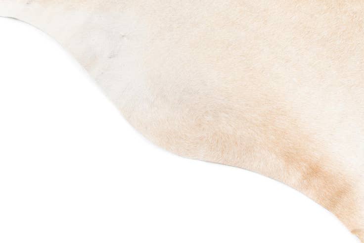 Detail image of 5' 4 x 5' 11 Cowhide Leather Square Rug