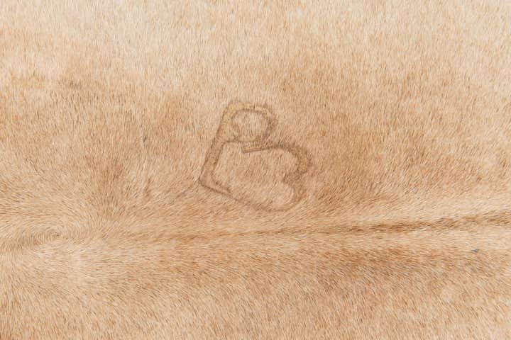 5' 4 x 5' 11 Cowhide Leather Square Rug