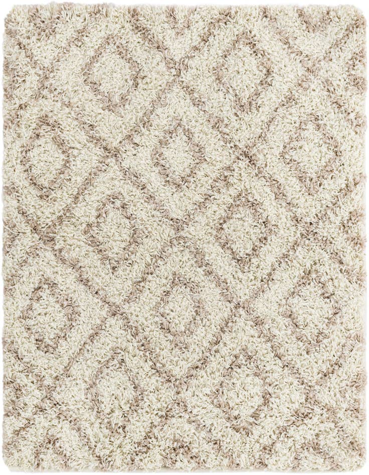Detail image of 3' 3 x 3' 3 Lattice Shag Square Rug