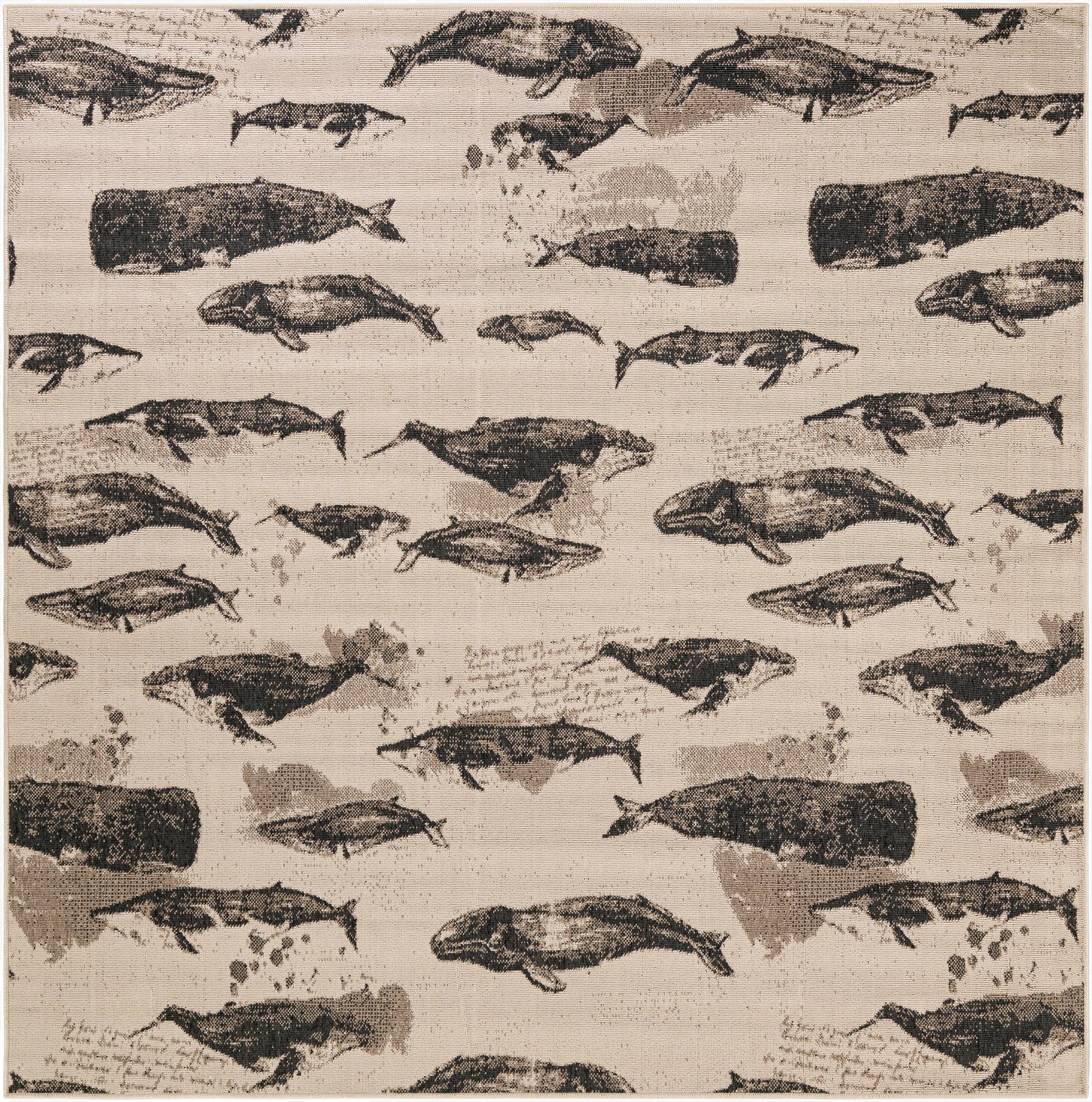 7' 10 x 7' 10  Washable Coastal Indoor / Outdoor Square Rug