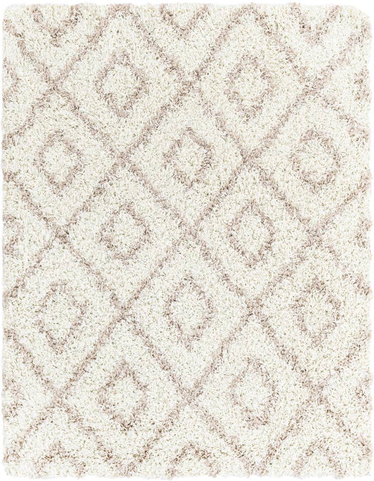 Detail image of 4' x 4' Trellis Shag Square Rug