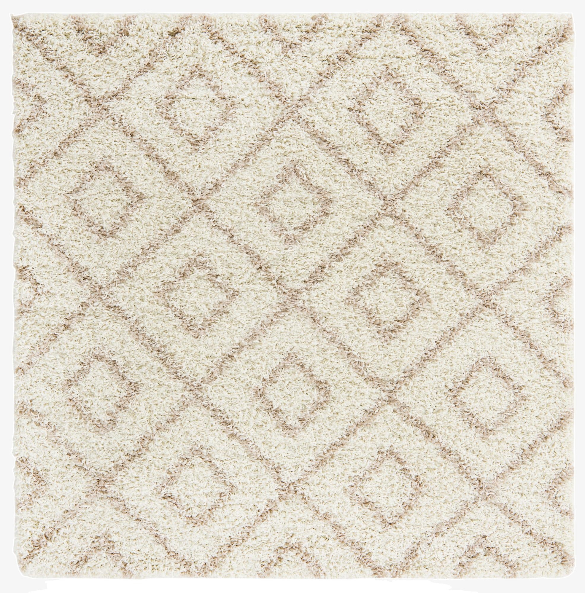5' 3 x 5' 3 Trellis Shag Square Rug