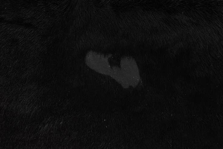 Detail image of 5' 9 x 6' 9 Cowhide Leather Rug