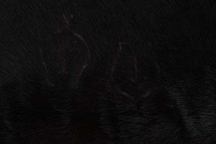 4' 9 x 5' Cowhide Leather Freeform Rug