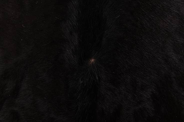 Detail image of 4' 2 x 6' 4 Cowhide Leather Rug