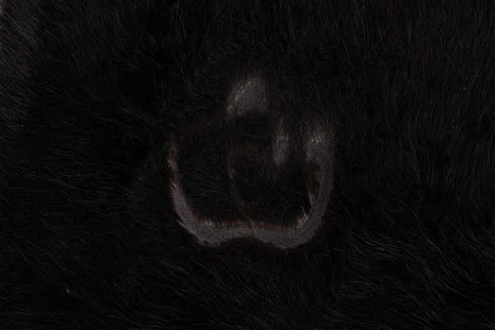 5' 5 x 6' 9 Cowhide Leather Rug