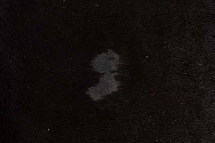 5' 3 x 6' 5 Cowhide Leather Rug