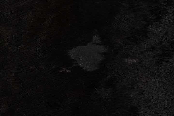 6' 1 x 7' 3 Cowhide Leather Rug