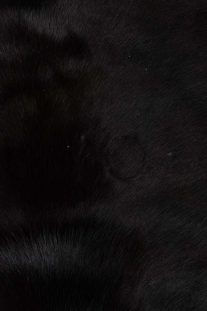 5' 5 x 6' 8 Cowhide Leather Rug