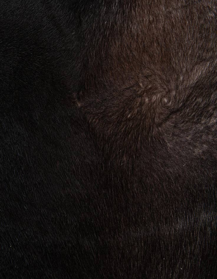 Detail image of 5' 11 x 6' 10 Cowhide Leather Rug