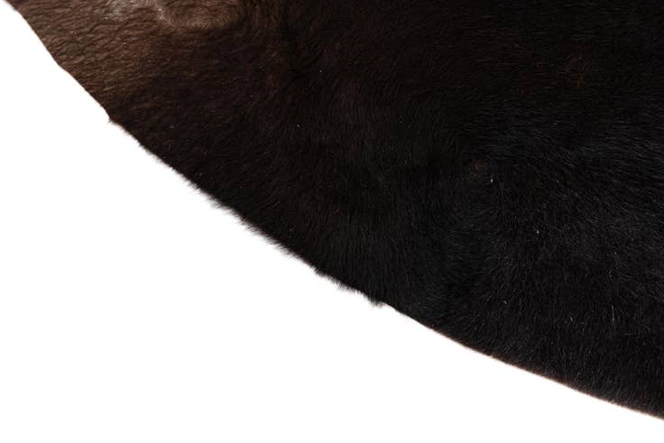 Detail image of 6' 9 x 7' 4 Cowhide Leather Rug