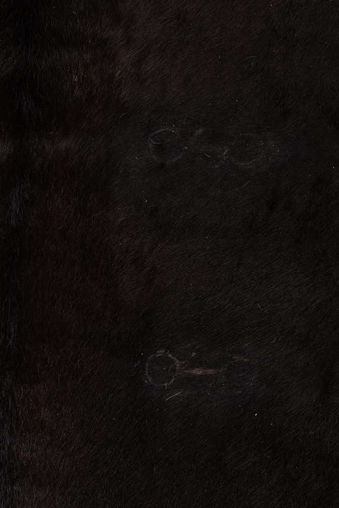 6' 9 x 7' 4 Cowhide Leather Rug