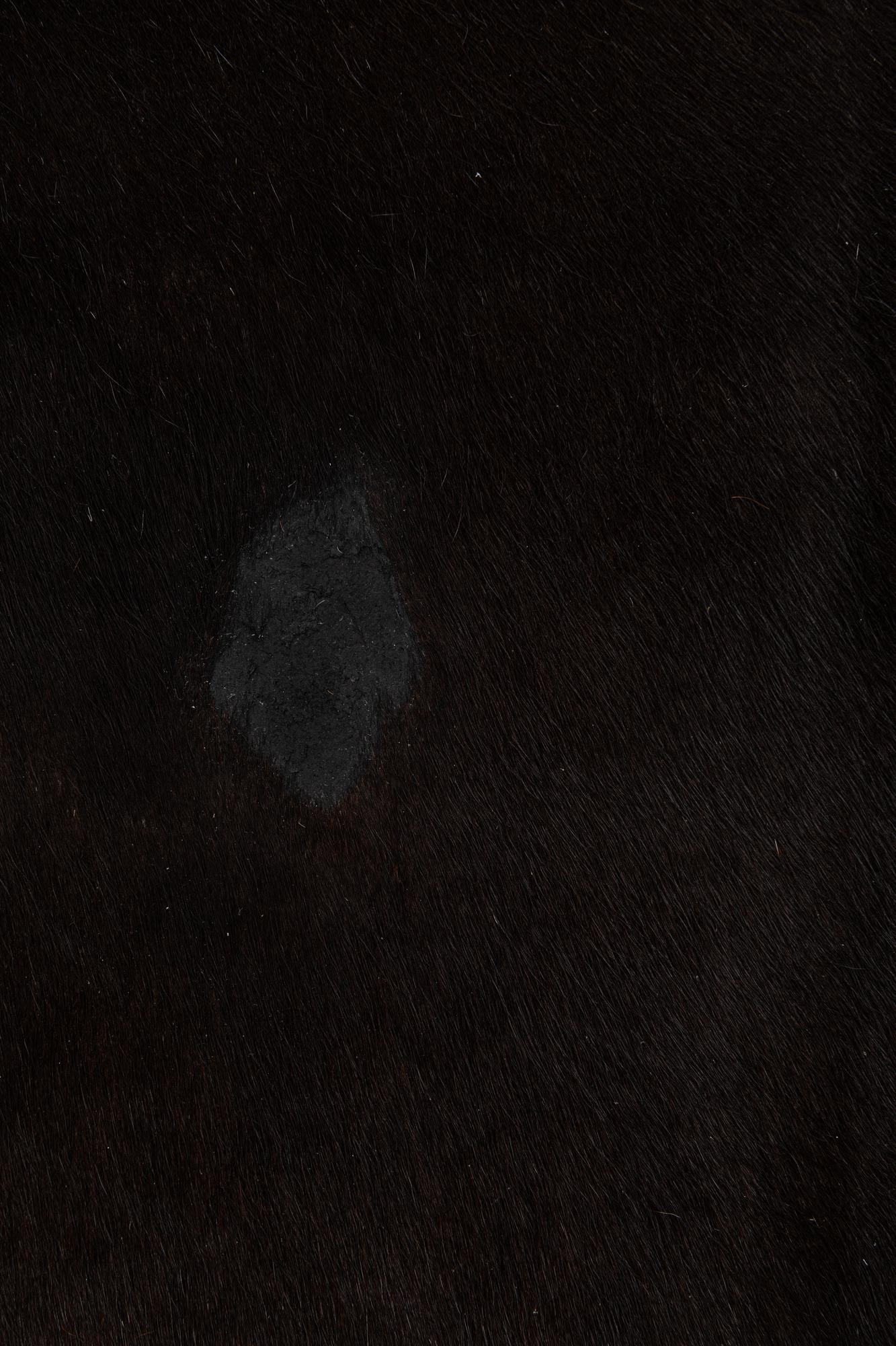 6' 9 x 7' 4 Cowhide Leather Rug