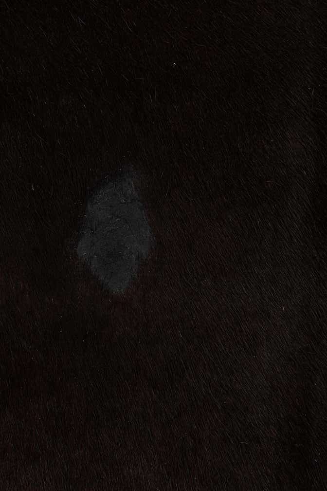 6' 9 x 7' 4 Cowhide Leather Rug