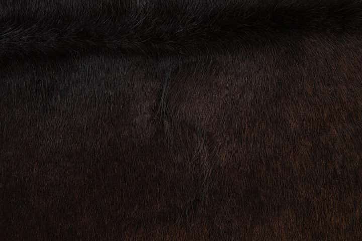 5' 5 x 5' 10 Cowhide Leather Square Rug